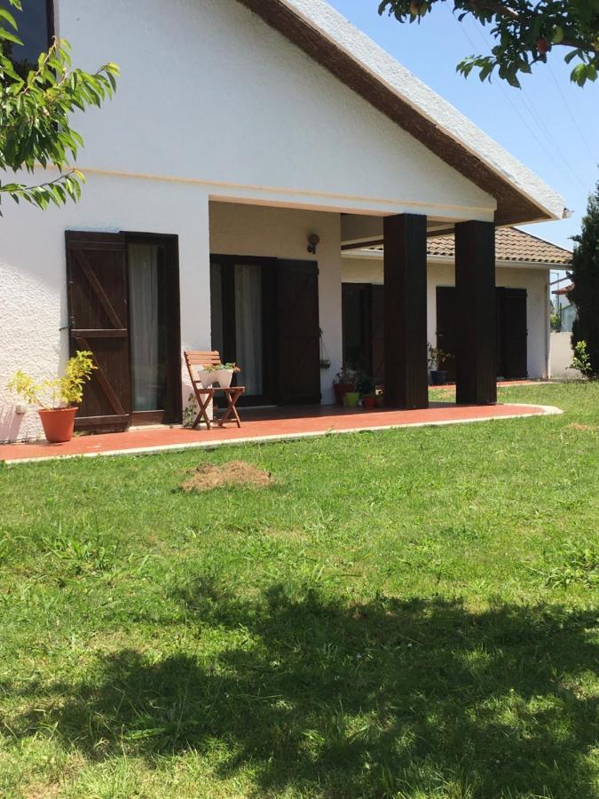 Happy Ria House Ξενοδοχείο Chousa Velha Εξωτερικό φωτογραφία